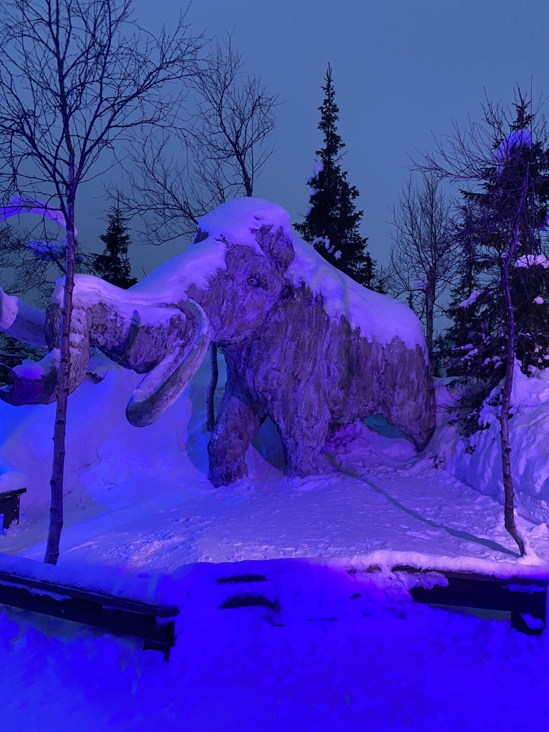 Знакомство с Хибинами в Кировске (Анастасия)