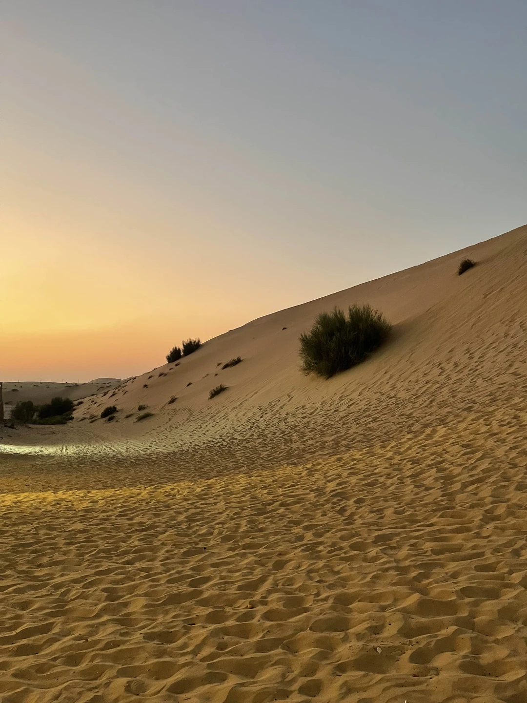 Получили огромное удовольствие и кучу положительных эмоций. Великолепная по насыщенности программа. Пейзажи пустыни не оставят равнодушными