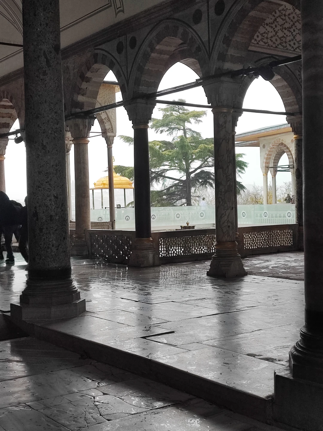 16 декабря у нас с мужем была индивидуальная экскурсия по Стамбулу с Жесим.