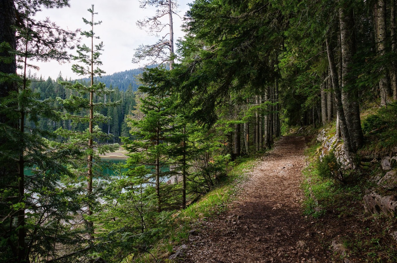 Дикая красота Черногории