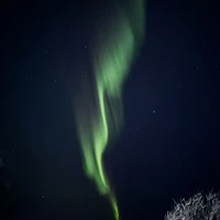 Фото отзыва 3: экскурсия "В погоню за полярным сиянием!"