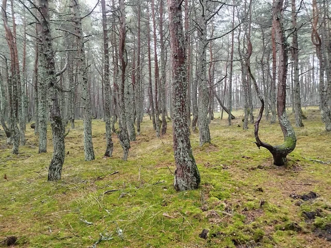 Экскурсия понравилась