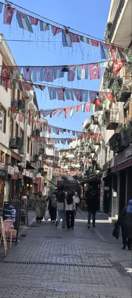 Экскурсию "Классический Стамбул" провел нам гид Сефа. Он хорошо владеет русским языком, с юмором, очень вежлив