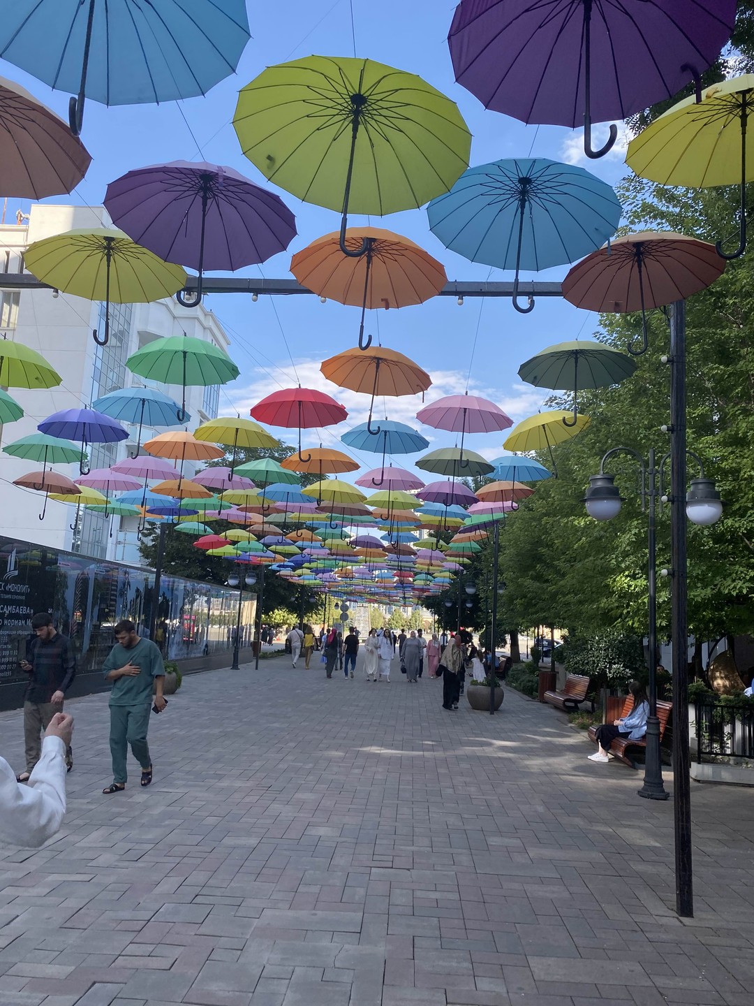 15 августа были на экскурсии в Грозном. Впечатлений много, по пути заезжали в мемориал памяти в