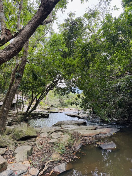отличная прогулочная экскурсия! Экскурсич заняла 5 часов, как и было заявлено. Очень красивые виды открываются с