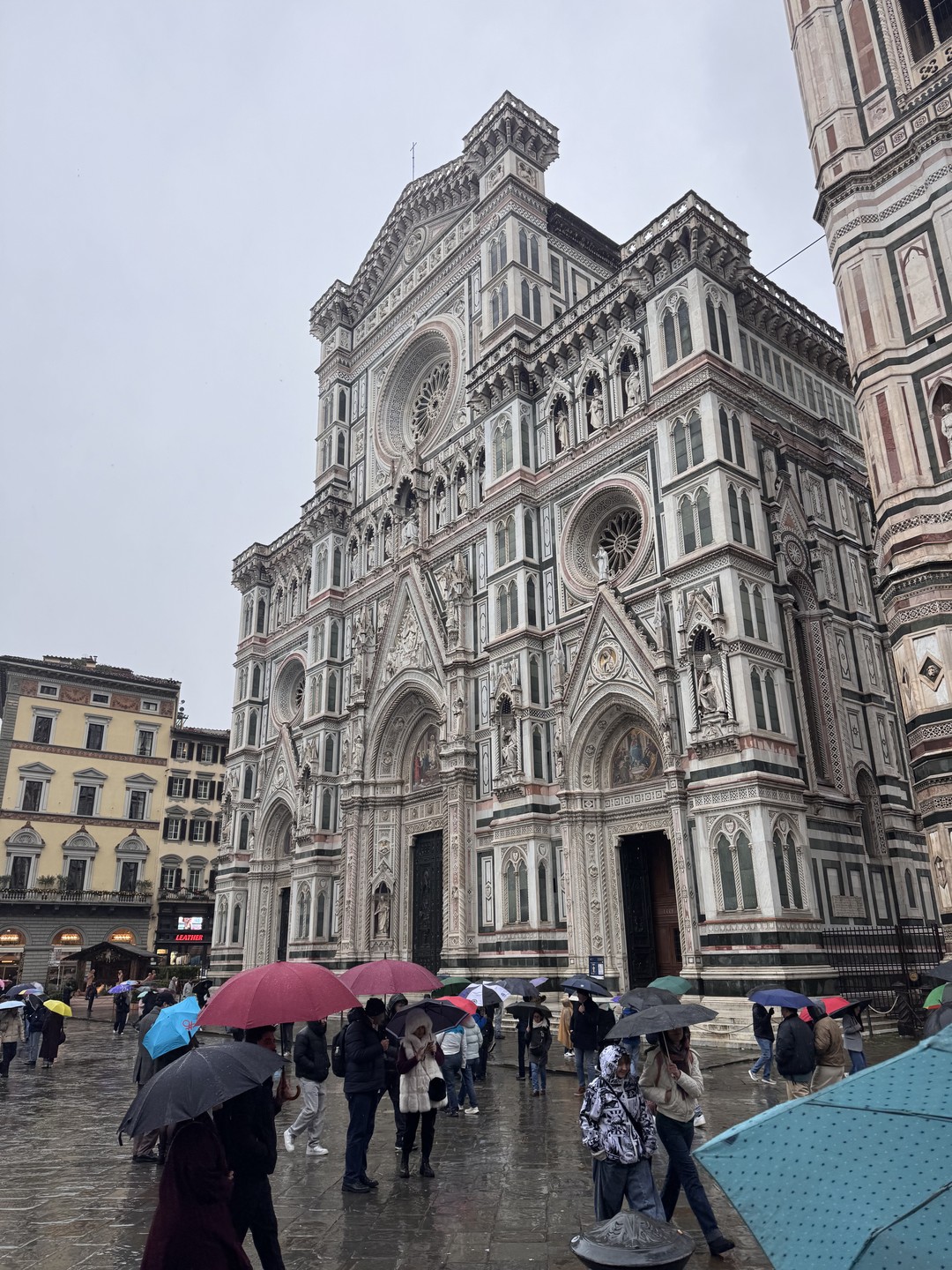 Светлана-прекрасный экскурсовод с глубокими знаниями в искусстве. Провела нас по интереснейшмм маршрутам Флоренции, даже находясь в