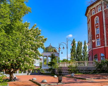 Фото отзыва 4: авторский тур "Сказки, стихи Есенина, скандинавские пейзажи и&nbsp;грибы с&nbsp;глазами: выходные в&nbsp;Рязани"