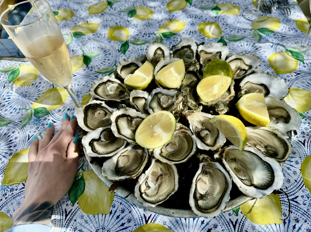 Секретная устричная ферма под Касабланкой (Елена)