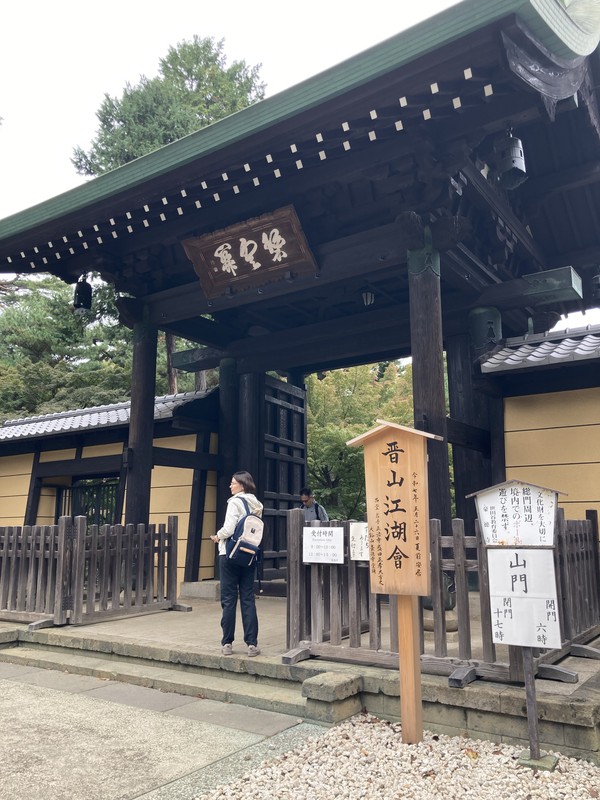 Токио в тени взмаха кошачьей лапы