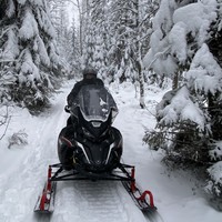 Фото отзыва 1: экскурсия "По лесу — на снегоходе (из Петербурга)"