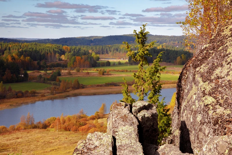Остров Риеккалансаари - от тайги до лесотундры