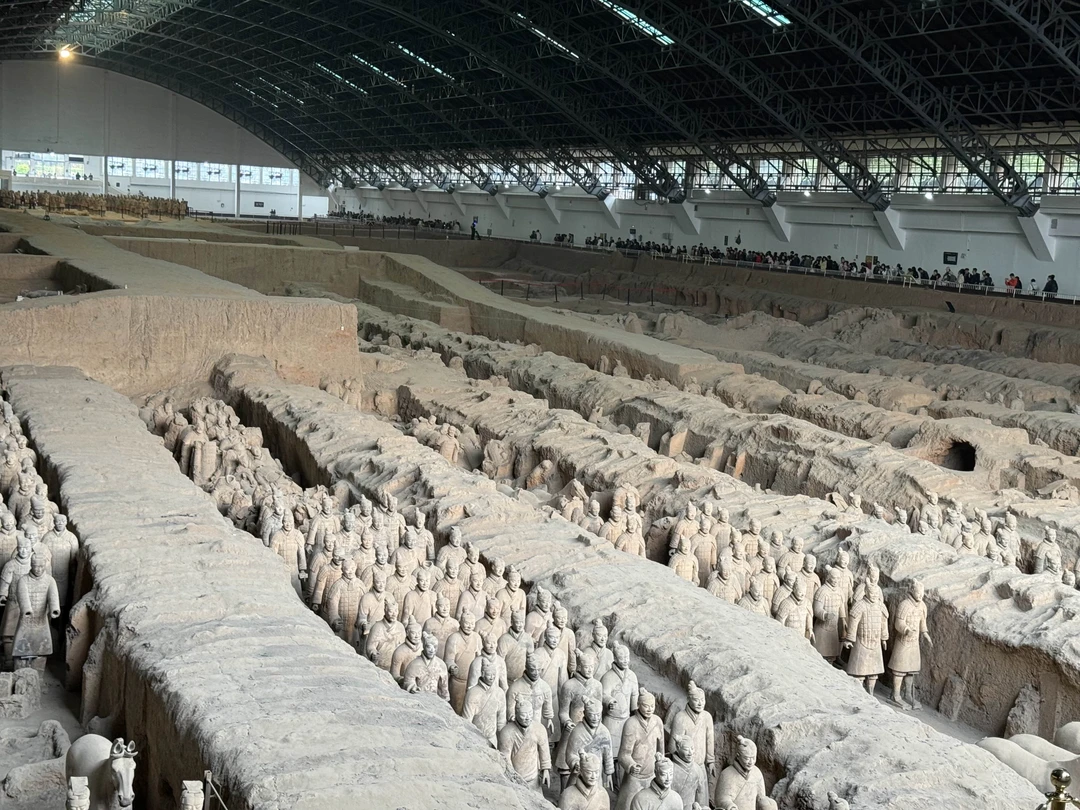 Экскурсия, гид, музей все понравилось. Интересно и познавательно. Погода немного подвела, но Сиань все равно очень понравился. Спасибо