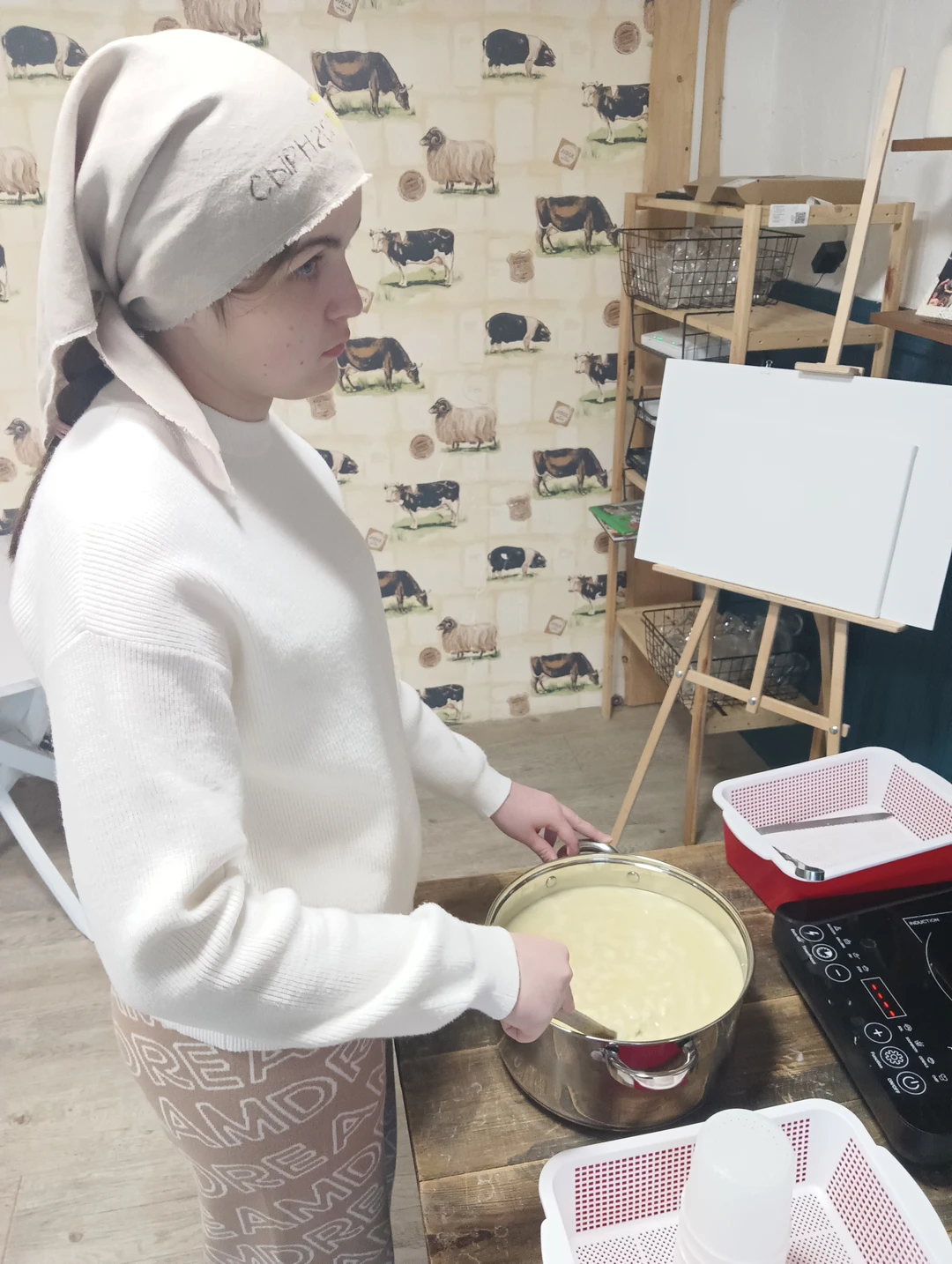 Мастер-класс по сыроделию в окрестностях Пскова (Елена)