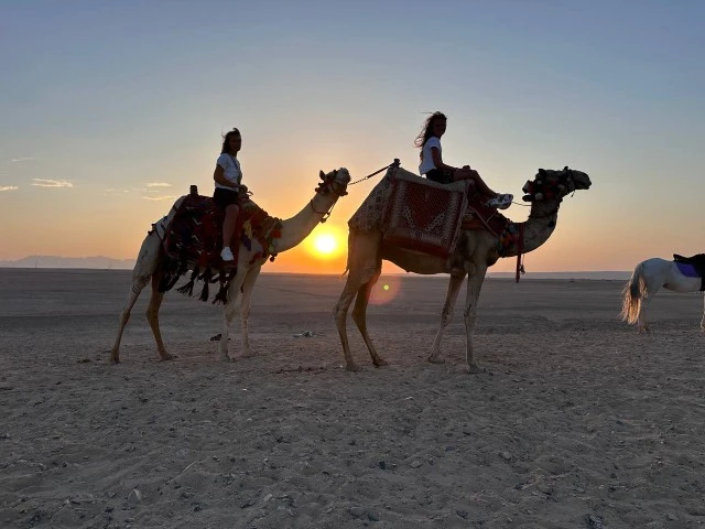 Добрый день! Экскурсия была великолепная. Дочь сказала, что как будем еще раз в Египте, обязательно поедем