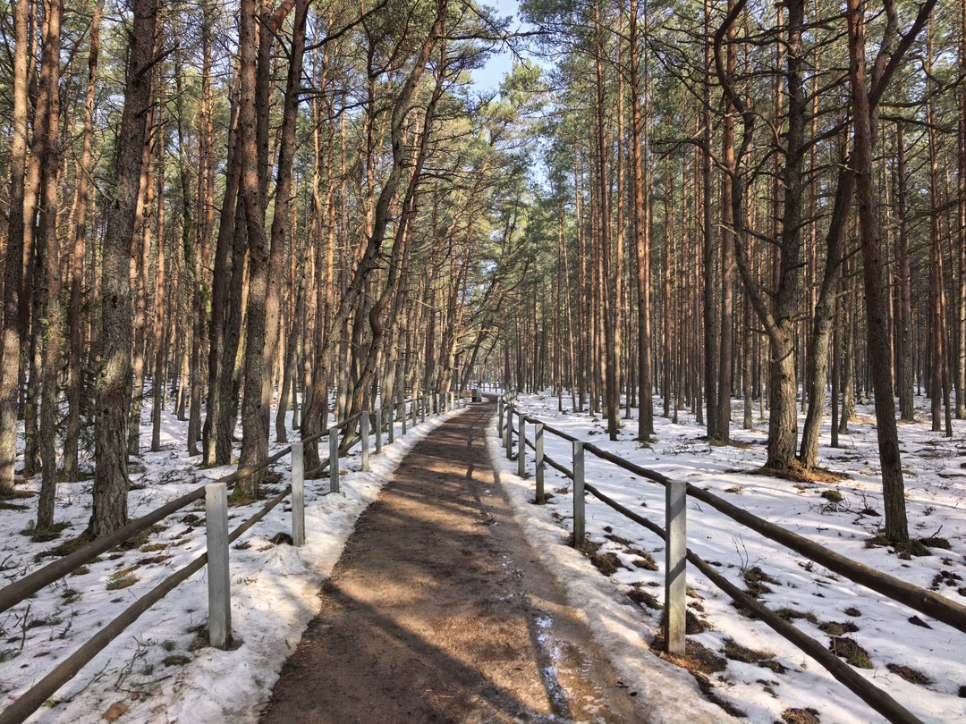 Были с женой на экскурсии по знаковым местам Куршской косы. Прекрасное знание места, истории, нешаблонная передача