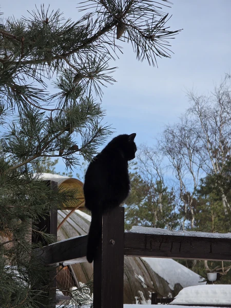 Прекрасная экскурсия, всё очень понравилось. Рекомендую!:)