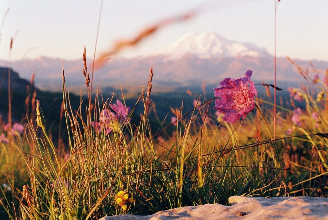 Трансфер-экскурсия из Минвод на Эльбрус
