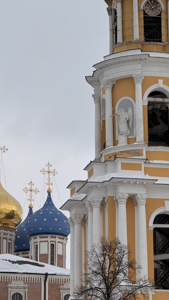 Рязань сквозь века (Игорь)