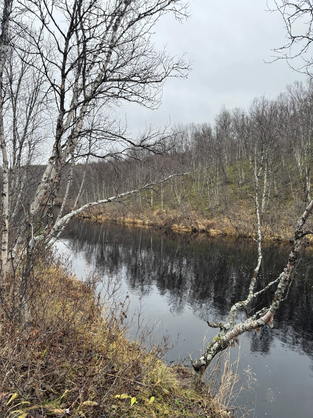 Сегодня была на экскурсии с замечательными гидами - Денисом и Ларисой. Так получилось, что я оказалась