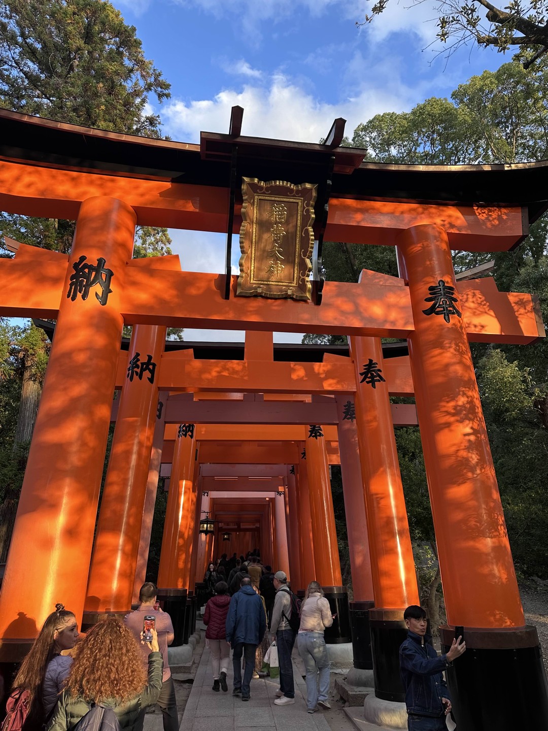 Академические знания в истории и культурологии Японии. Глядя на сад камней, это уже не просто камни