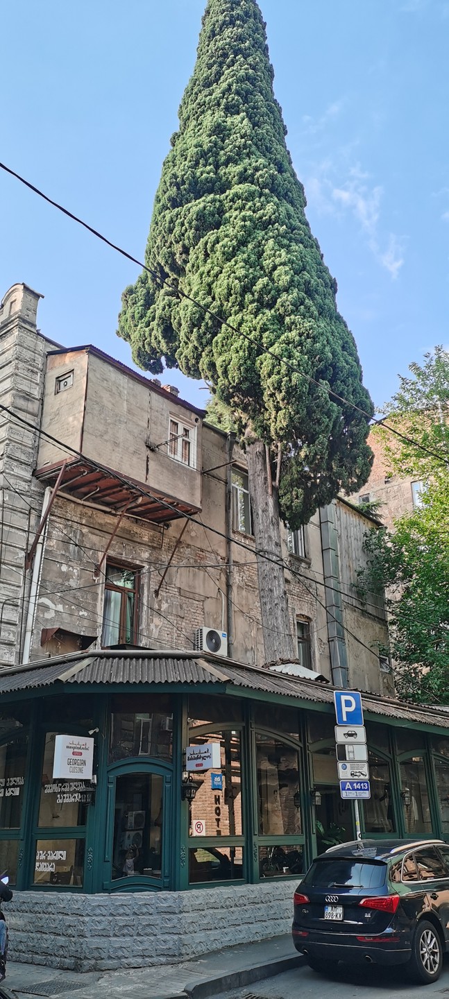 Добрый день. Вернулась из поездки по Грузии тур «От Тбилиси до Батуми: путешествие по Грузии через