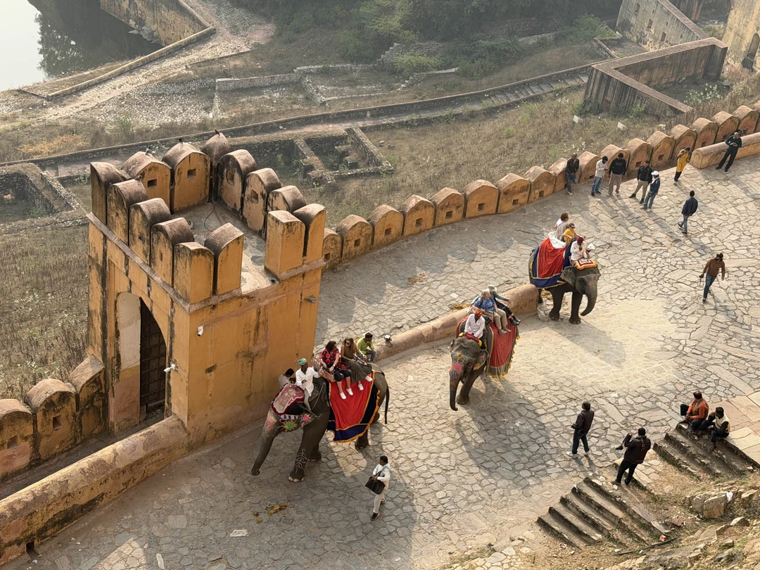 30 ноября 2025 посетили город Джайпур, экскурсию бронировали на Tripster, под названием «Из Дели — в «розовый город» Джайпур!»