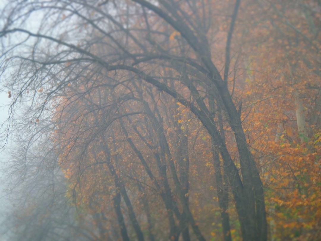 Самая высокая оценка!