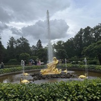 reviews img