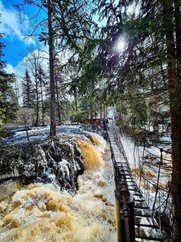 Лучшие места Карелии за 1 день: автобусная экскурсия из Санкт-Петербурга