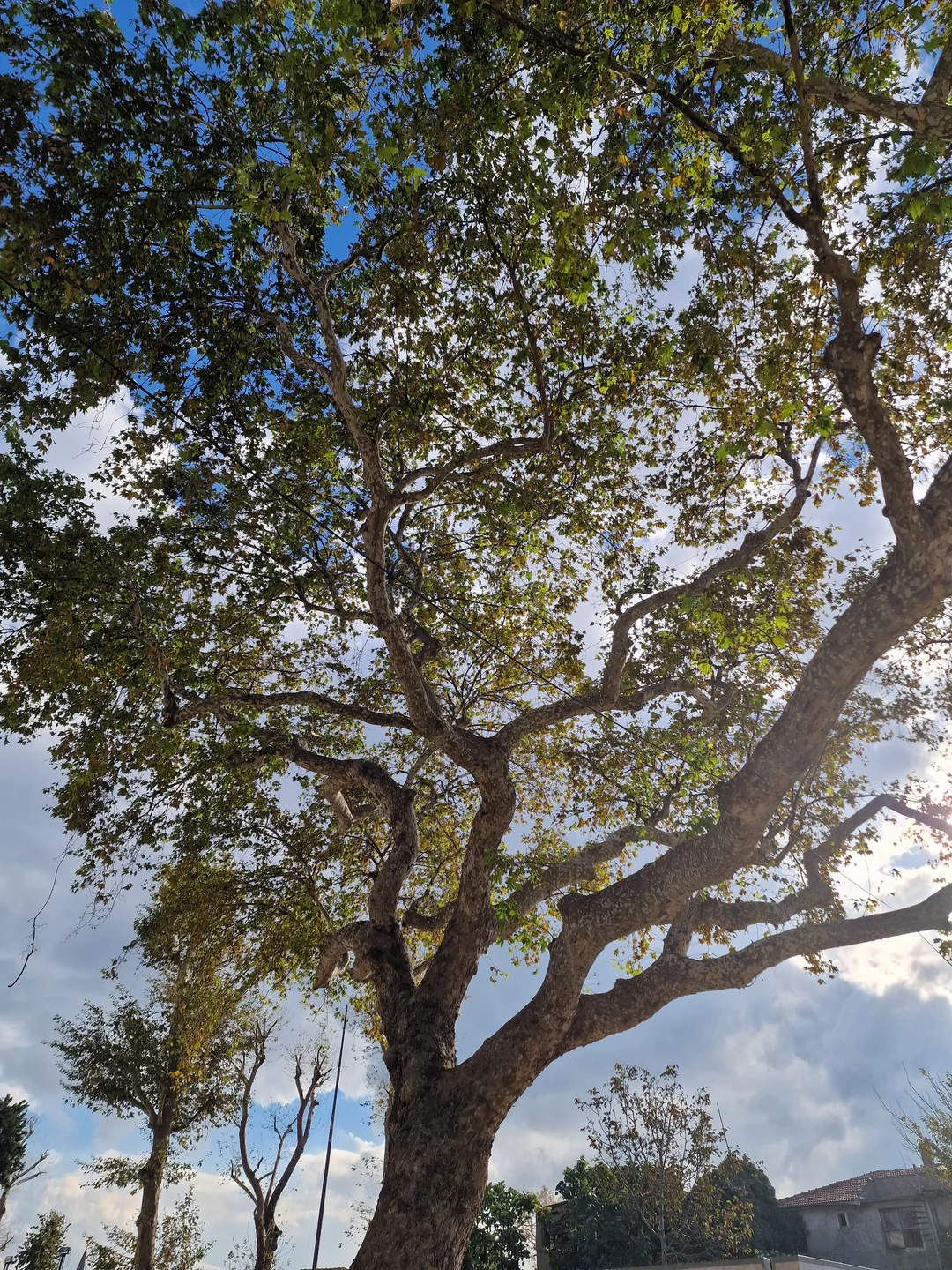 Наш гид Адэм провел замечательную экскурсию. Всех вовремя собрал, поведал массу историй о достопримечательностях, весело и