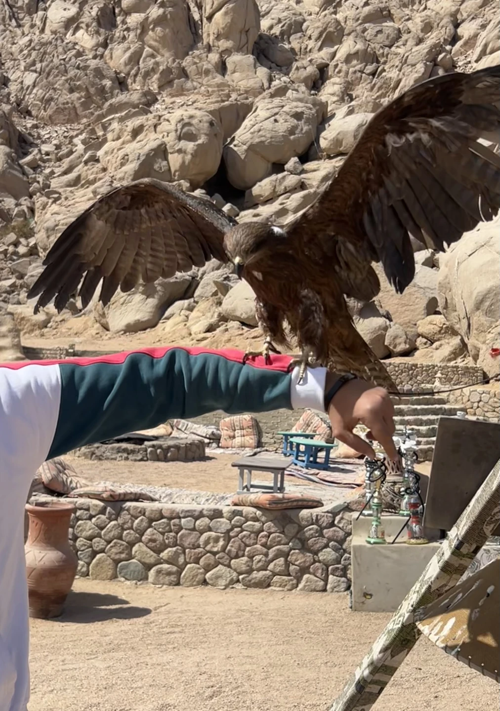 Только недавно вернулась с экскурсии - и до сих пор под впечатлением!