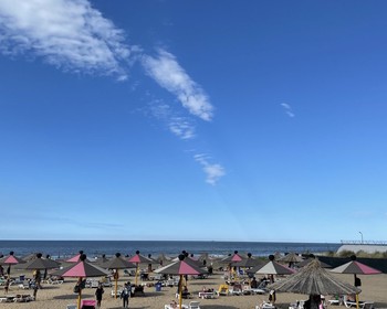 Встреча группы и приветственный ужин