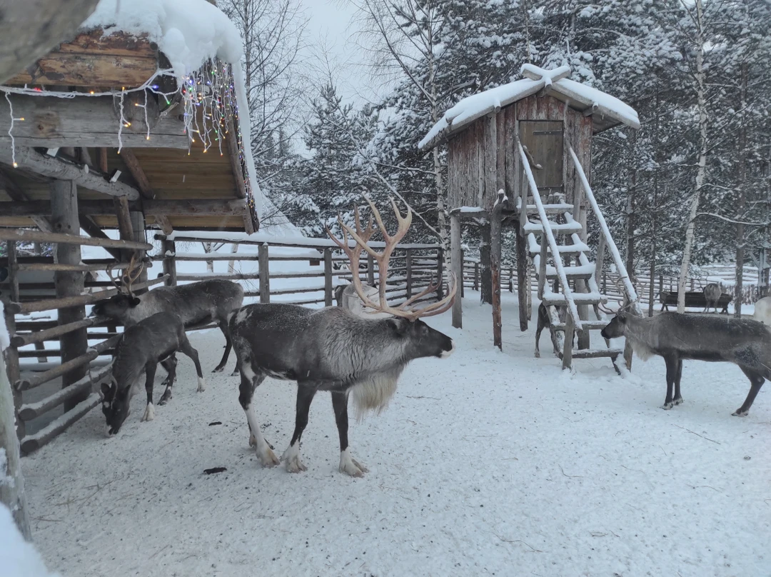 Хотим поблагодарить гида Марину и водителя Дмитрия за чудесную экскурсию. Марина рассказала много познавательного и интересного
