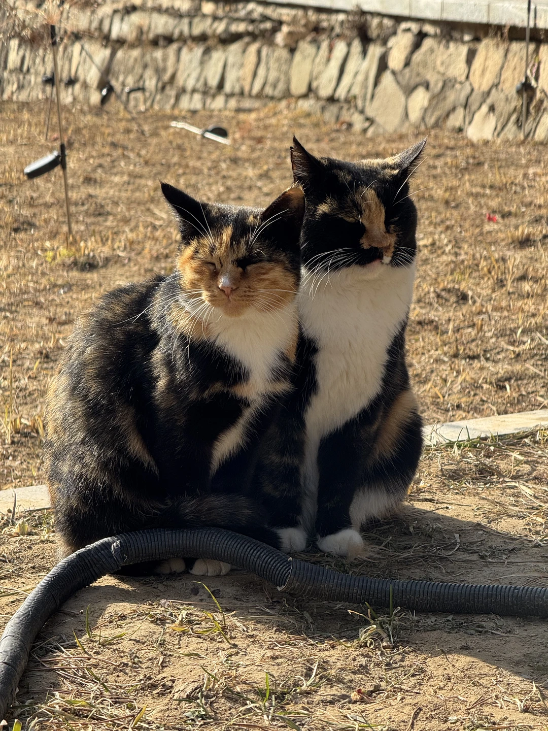 Экскурсия прошла на одном дыхании, мы не заметили как прошло время! Гид Зоя интересно и грамотно