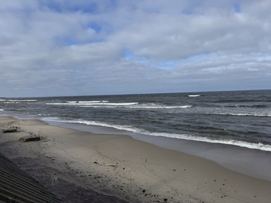 Фото отзыва 1: экскурсия "Куршская коса — уголок нетронутой природы"