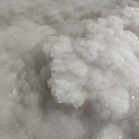 Фото отзыва 2: экскурсия "Солёное озеро Баскунчак и красная гора Богдо"