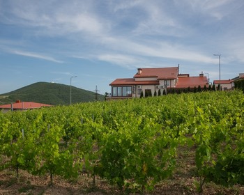 Дегустации в Chateau Pinot и "Сикорах", спа в "Семигорье"