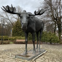 Фото отзыва 2: экскурсия "Тильзит — город мира и сыра!"