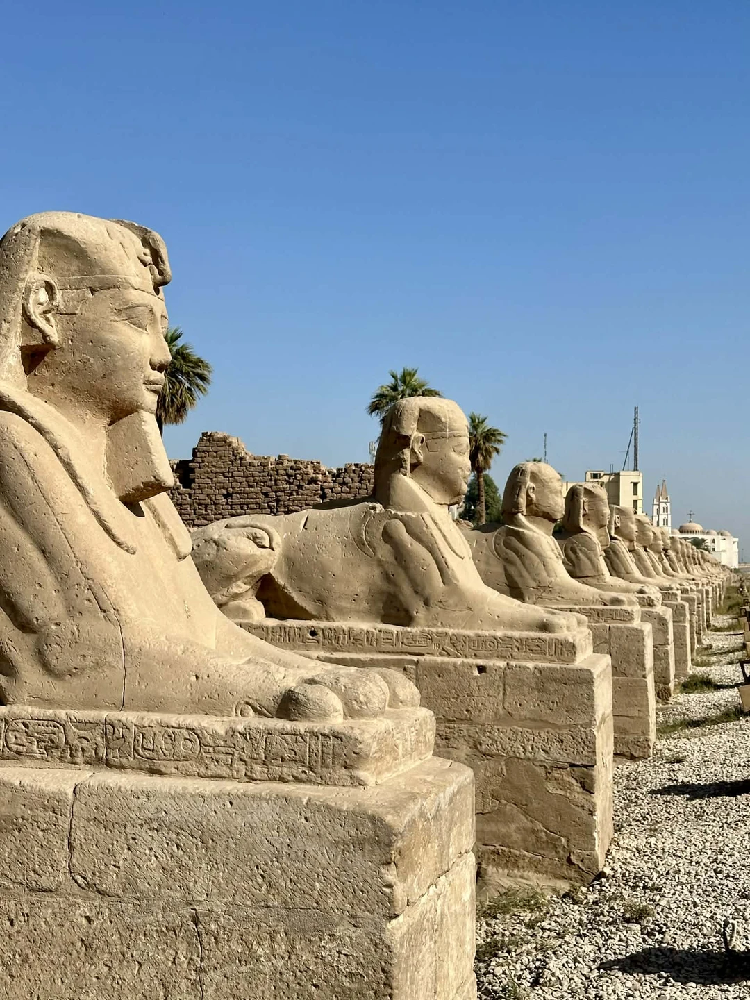 Были на экскурсии с Ахмедом — всё было организовано на высшем уровне. Если вы цените точность