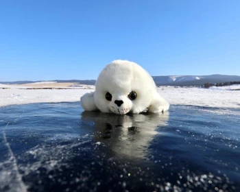 От Иркутска до Ольхона, Хужир и скала Шаманка