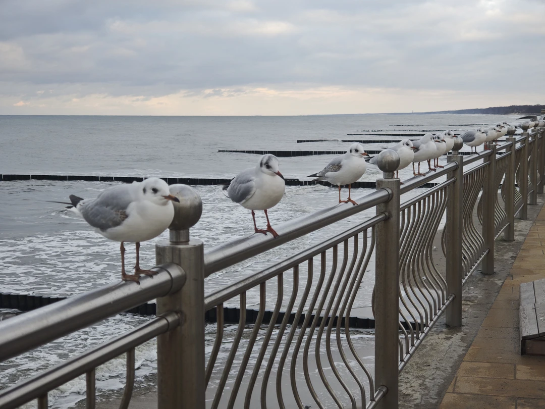 Отличная экскурсия, всем рекомендую!!! Гид прям молодец, интересно рассказывал, было свободное время, в общем 5+