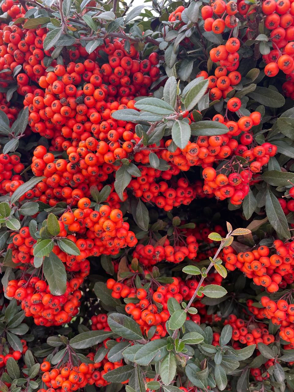 Спасибо большое за чудесную и необычную экскурсию! Нам все очень понравилось! Хочется отметить внимательность и чуткость