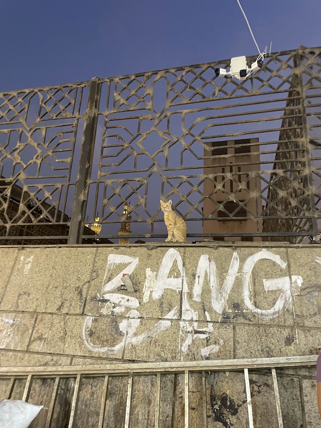 Вечерняя прогулка в сердце Каира (Анна)