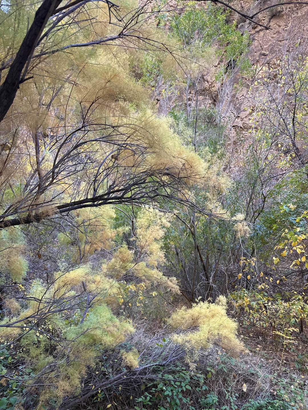Арарат, Арени и Нораванк - дороги, пропитанные солнцем (Александра)