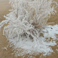 Фото отзыва 1: экскурсия "Древний Хорезм: в пустыню Кызылкум из Хивы"