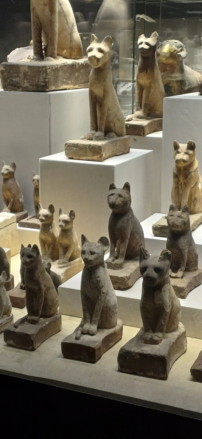 Если отдыхаете в Шарм-эль-Шейхе и не хочется далеко ехать на экскурсии, то местный археологический музей вас приятно удивит