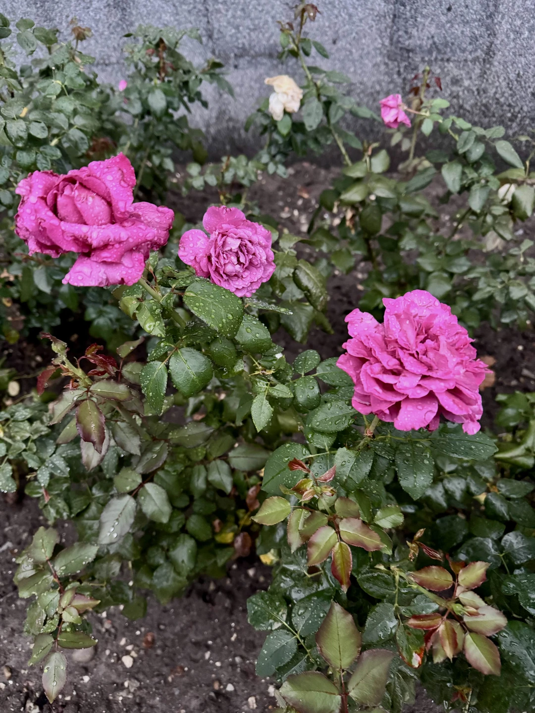 Интересно, но к сожалению приходилось останавливать и отдельно открывать карты и локацию. И конечно можно еще