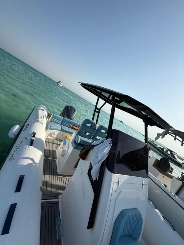 Встреча с дельфинами и снорклинг у побережья Хургады