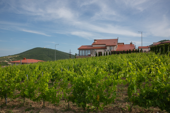 Дегустации в Chateau Pinot и "Сикорах", спа в "Семигорье"