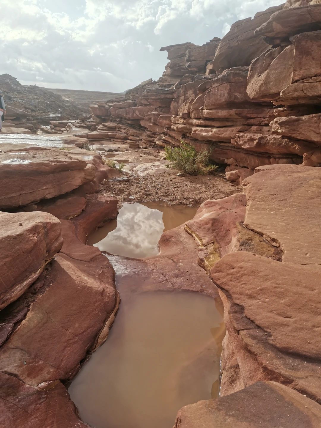 Очень интересная экскурсия, когда хочется посмотреть и ощутить все и сразу!